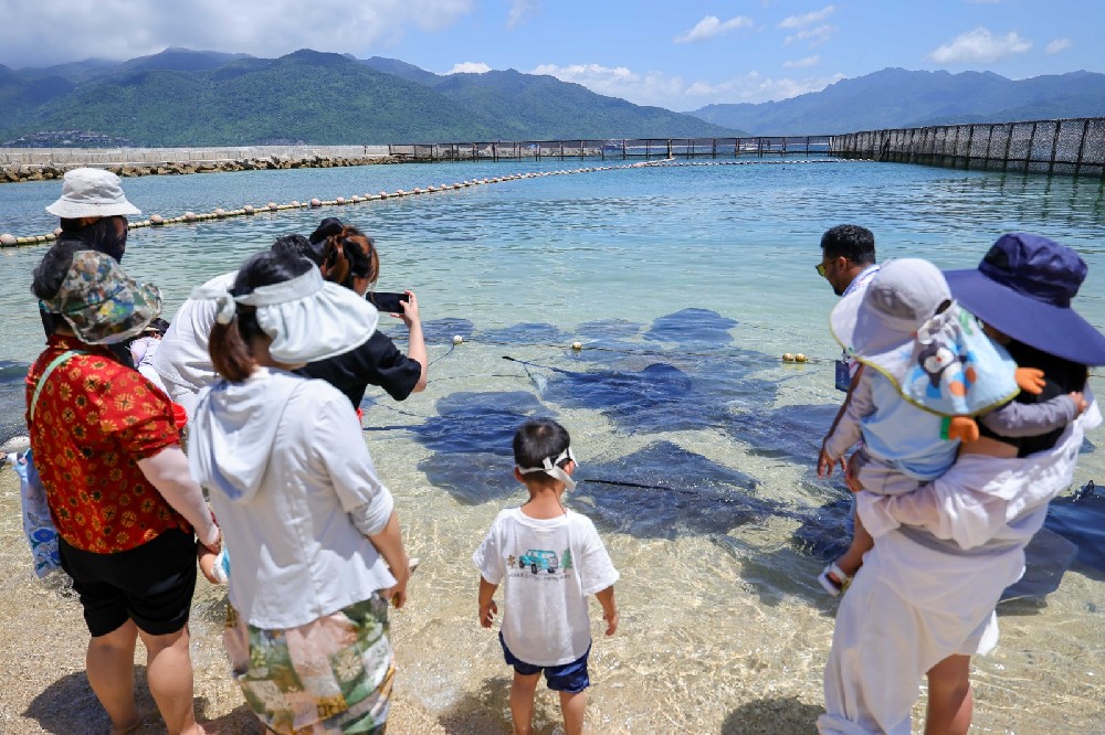 探访海南陵水分界洲岛：畅享一片蔚蓝